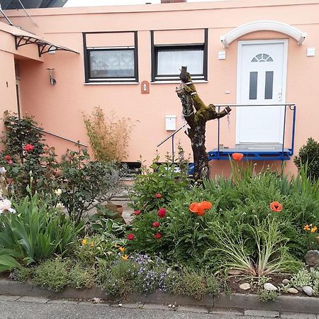 Flat Apartment Offenburg Exterior foto