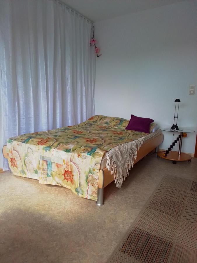Flat Apartment Offenburg Exterior foto