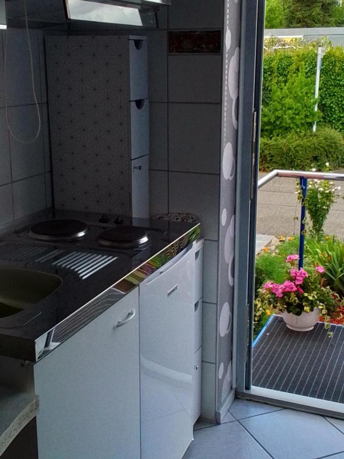 Flat Apartment Offenburg Exterior foto